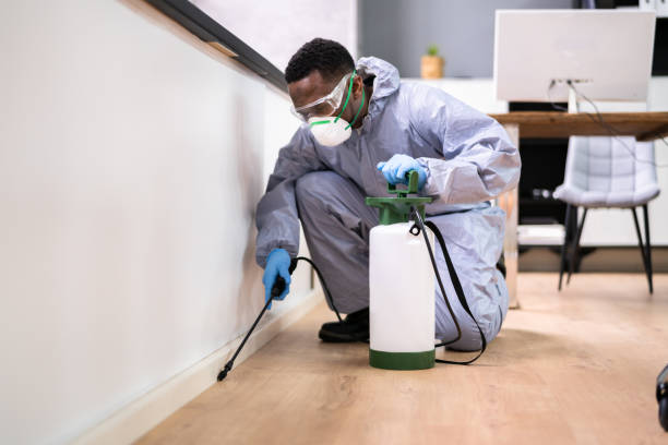 Best Fumigation Services  in Star, NC